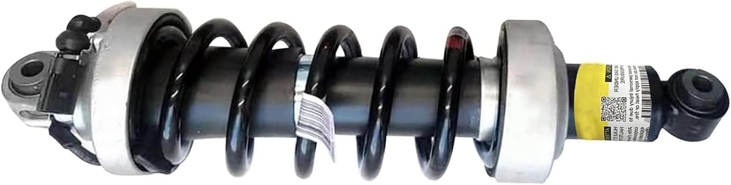 420512019G 420512019M Left Rear Shock Absorber Strut Magnetic Ride Compatible with Audi R8 V8 V10 2007-2015